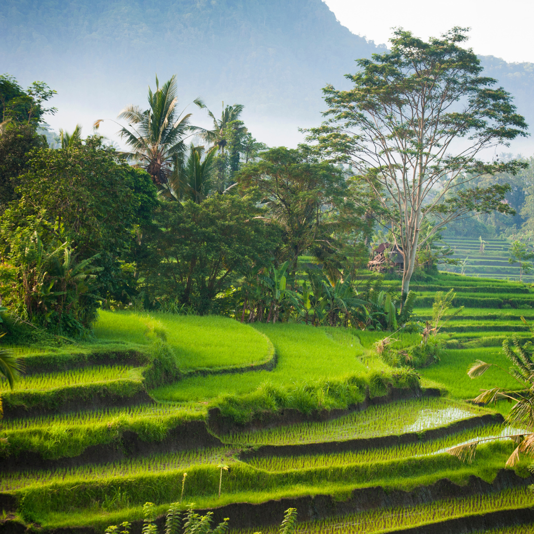 Evolve Yin Teacher Training Level II in Bali