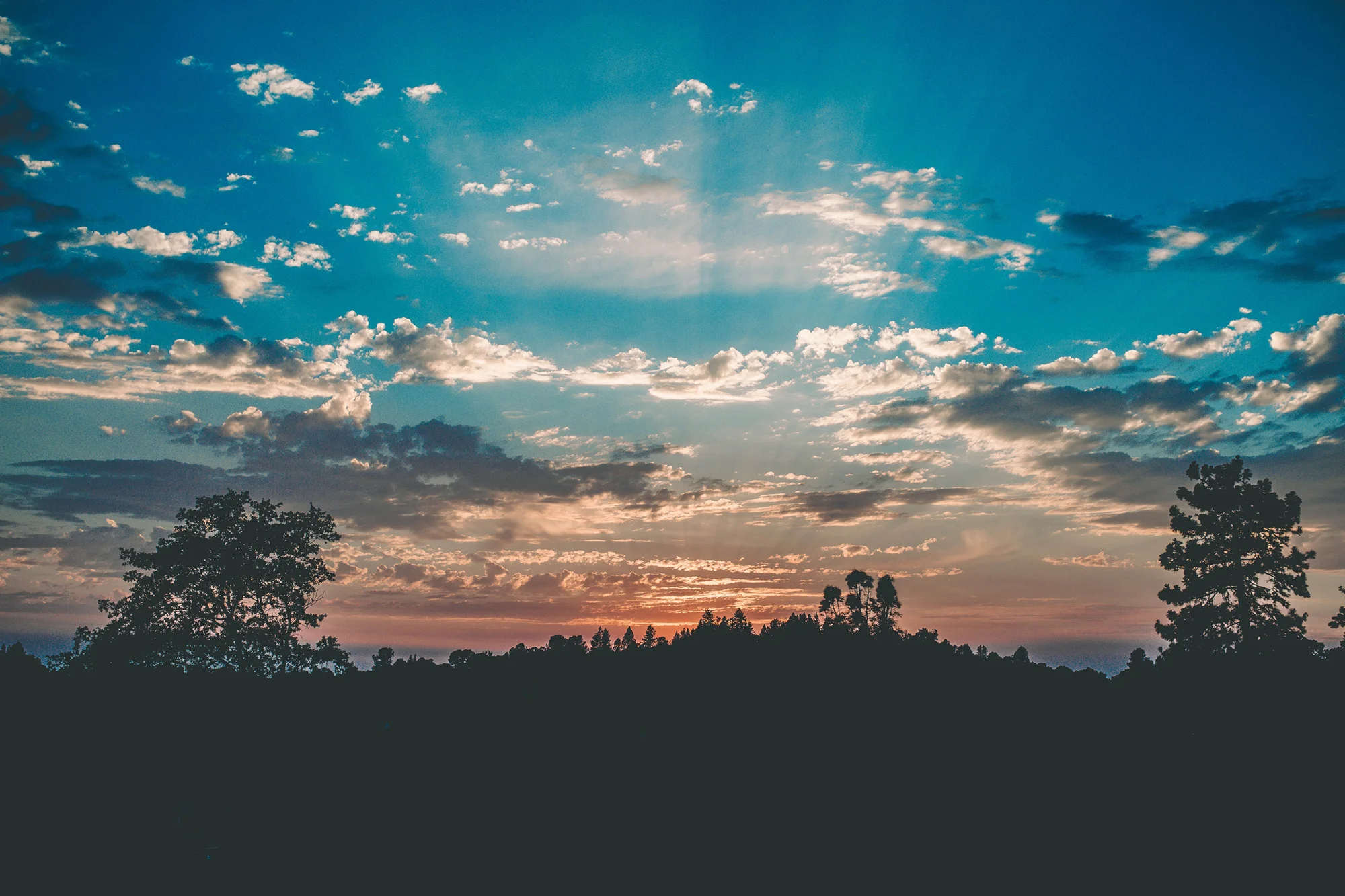 My Ganja Goddess Origin Story