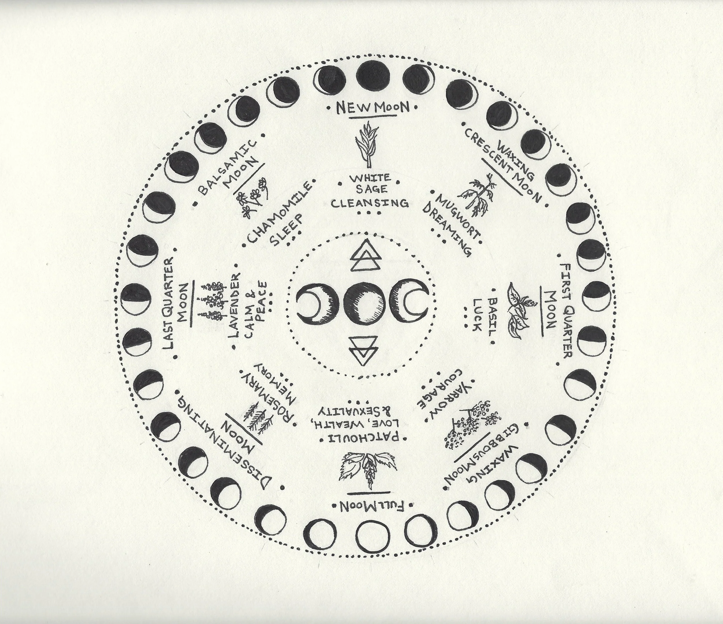 moon phases drawing.jpg