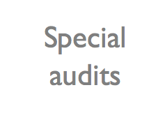 Special purpose audits