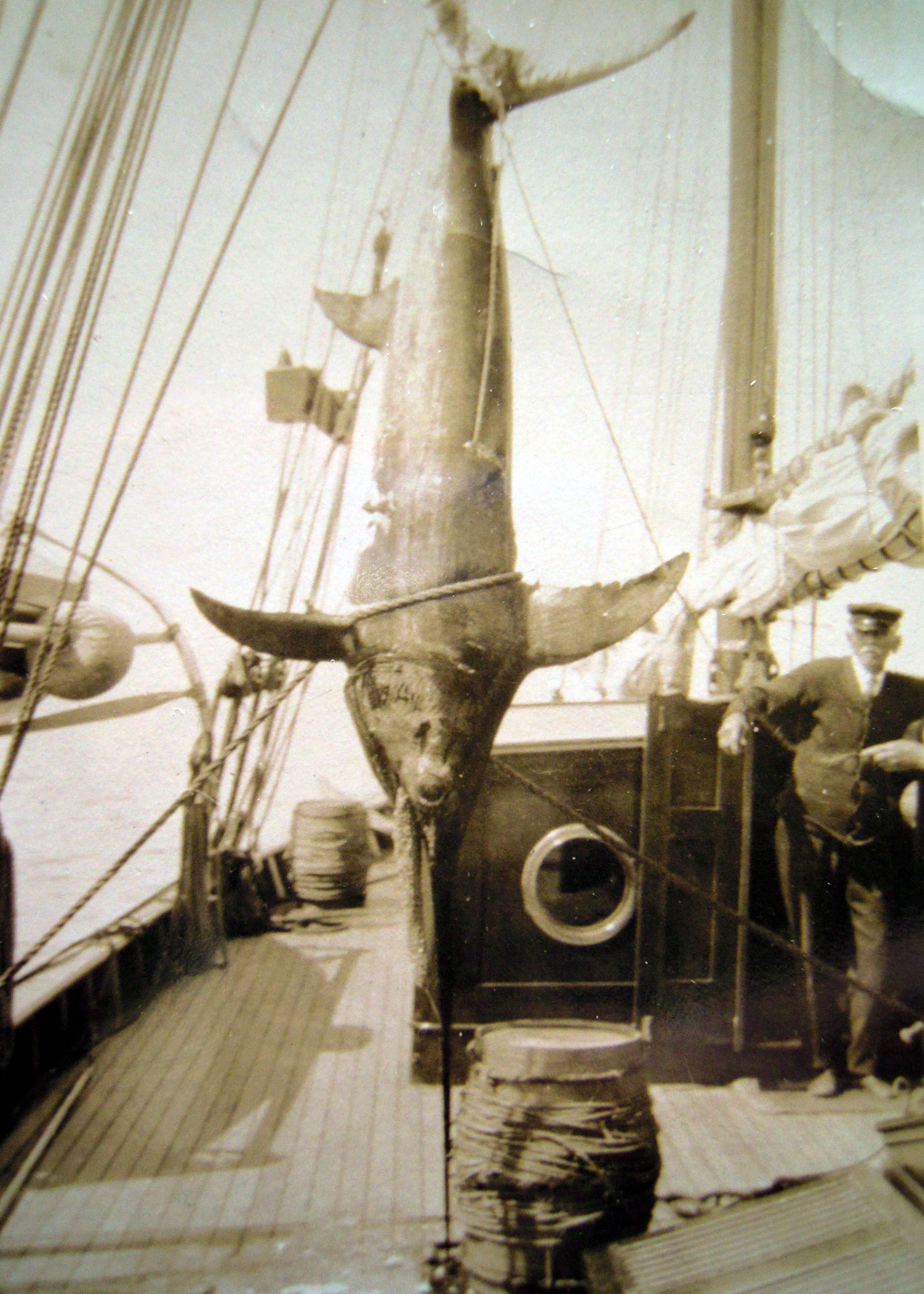 Cruising with the Loring family. What a catch!