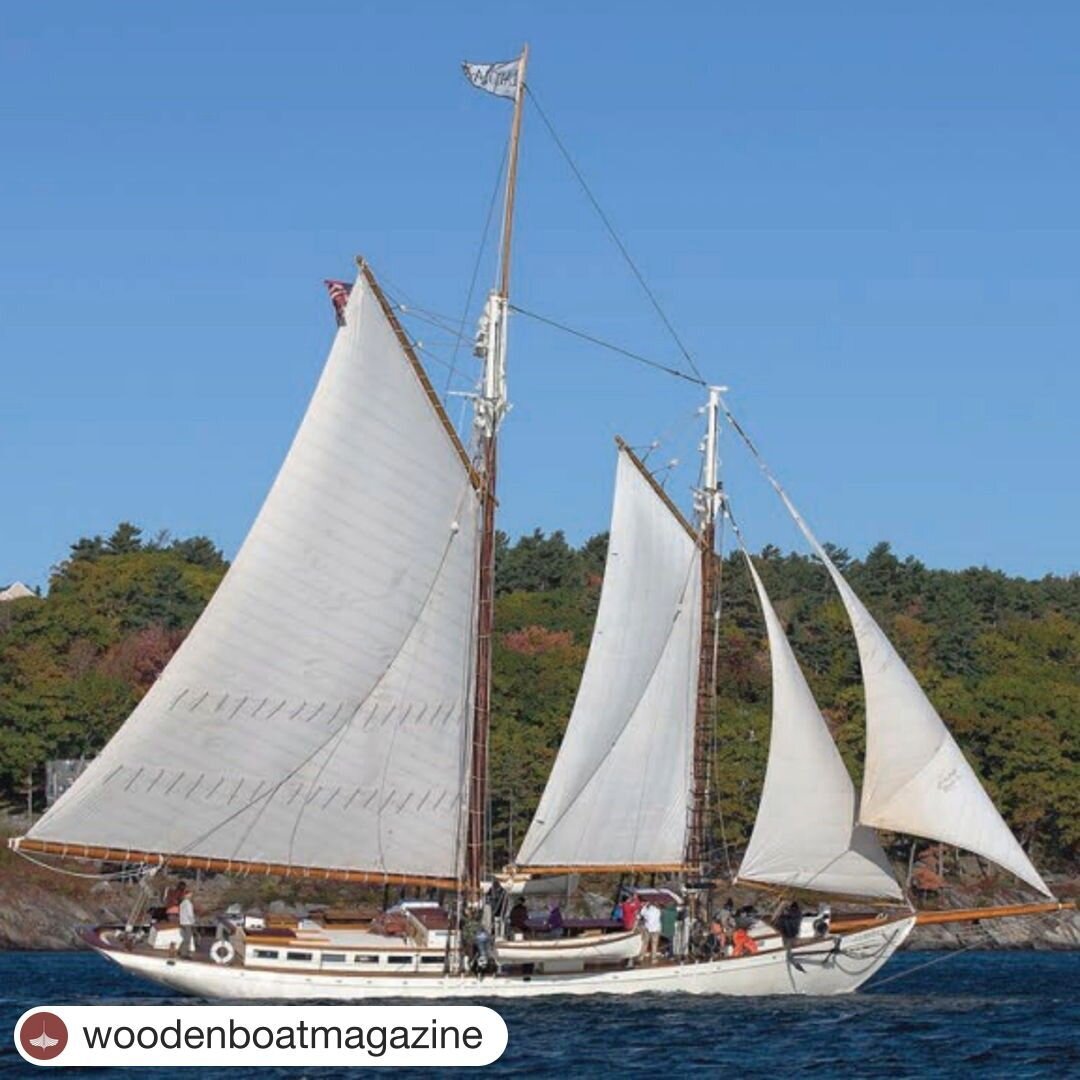 #Repost @woodenboatmagazine with @get.repost
・・・
LADONA was built in 1922 for ocean racing and performed well in that role for nearly a decade. She was first converted for passenger-carrying in the 1970's, under the name of NATHANIEL BOWDITCH. In 201