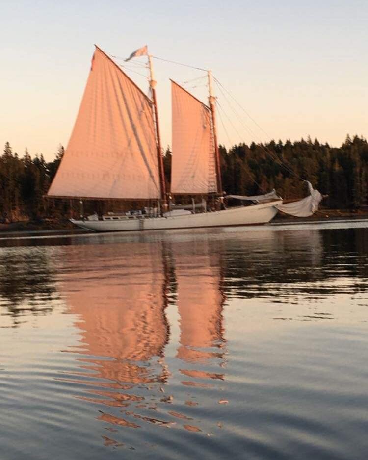 Robin and John shared these wonderful photos with us a few days ago and kindly gave us permission to share them with the rest of our Ladona friends. Enjoy!

#schoonerladona 
#thisiswindjamming 
#mainelife 
#mainewindjammerassociation 
#sailpenobscotb