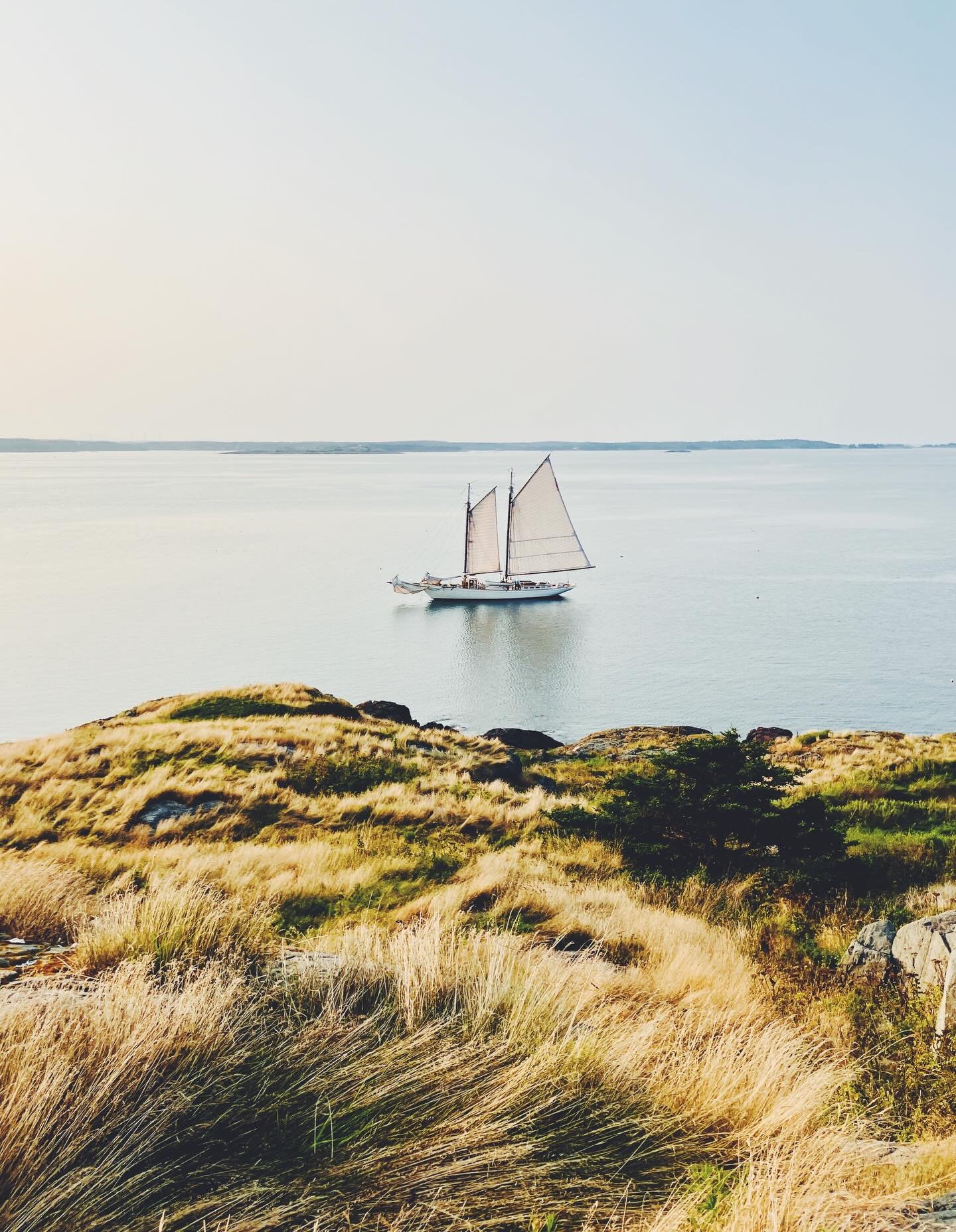 View from the top of Brimstone Island, looking down into the cove where Ladona is anchored for our lobster bake picnic (and where we found the heart rocks). 💗

There&rsquo;s still time to book your perfect summer getaway before March 1st and receive