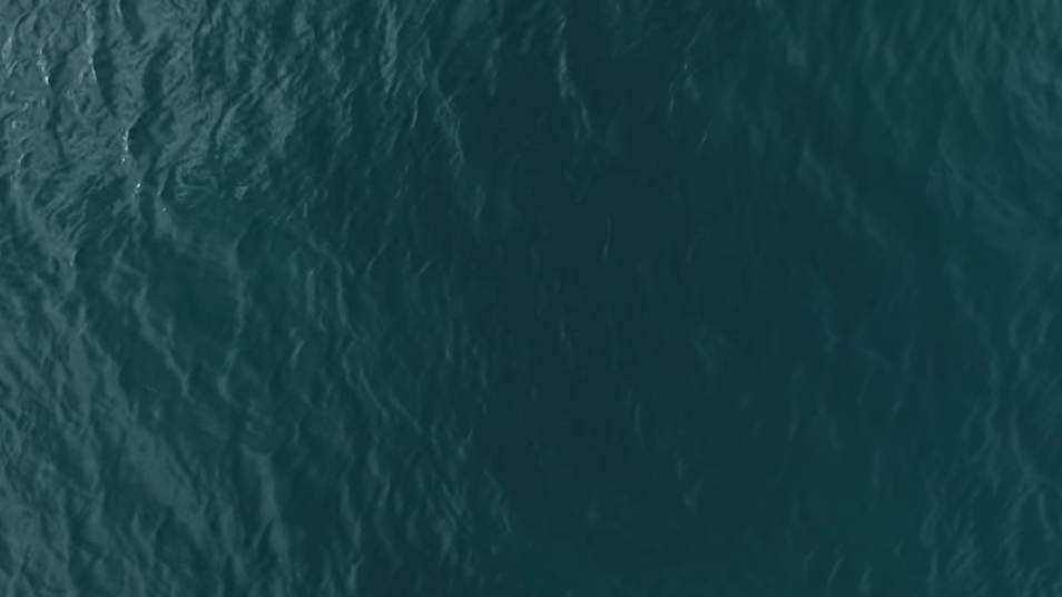 Screen Shot 2017-02-02 at 9.56.23 AM.png