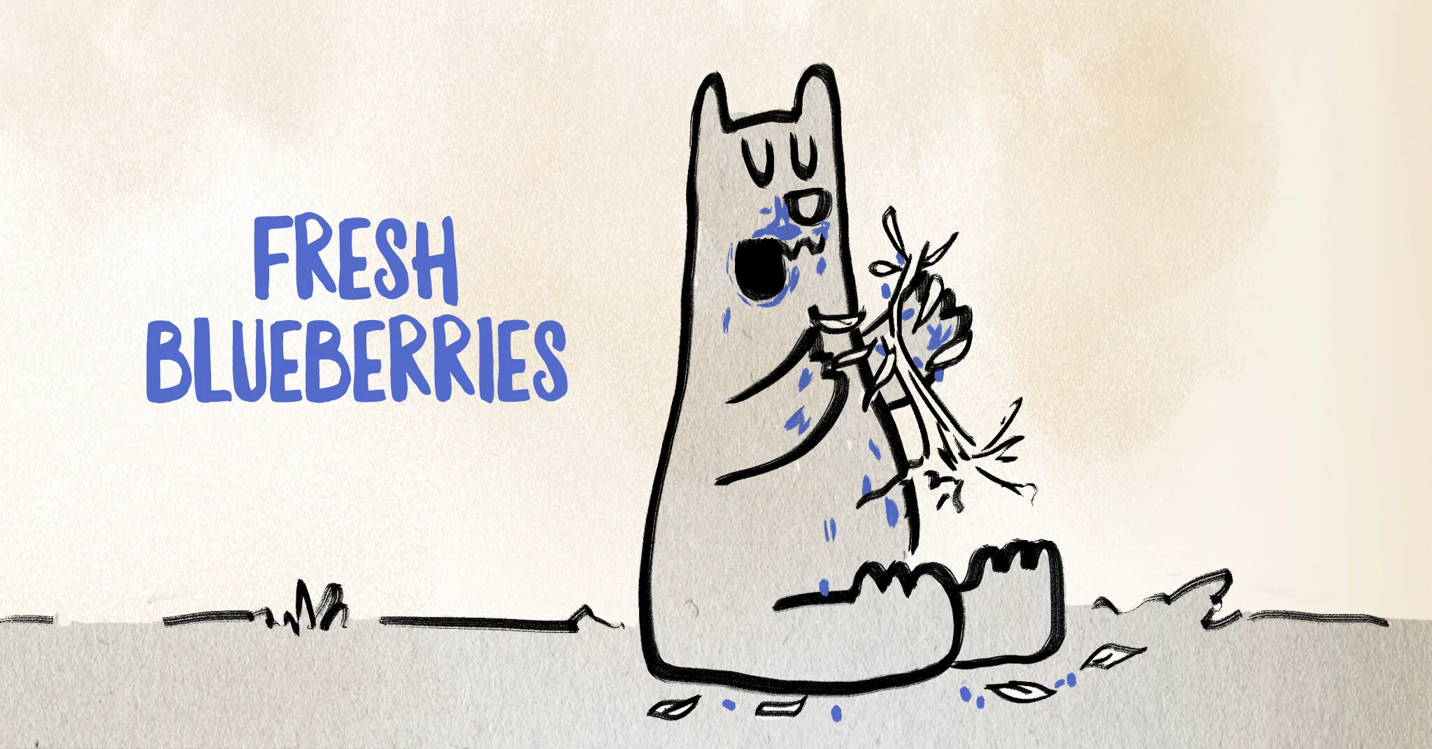 FreshBlueberries02.jpg