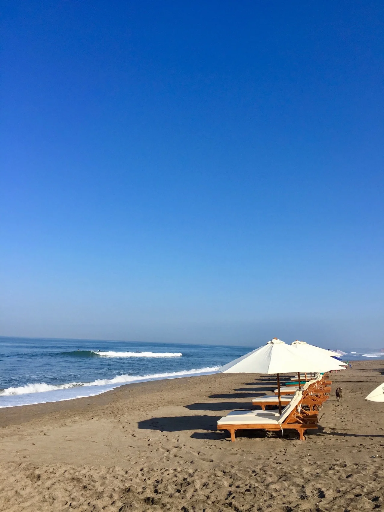 our local beach lounge