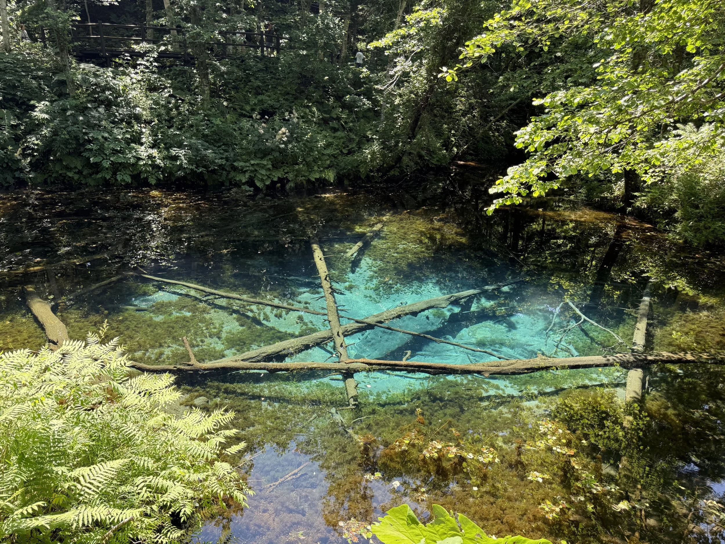 Kaminoko Pond