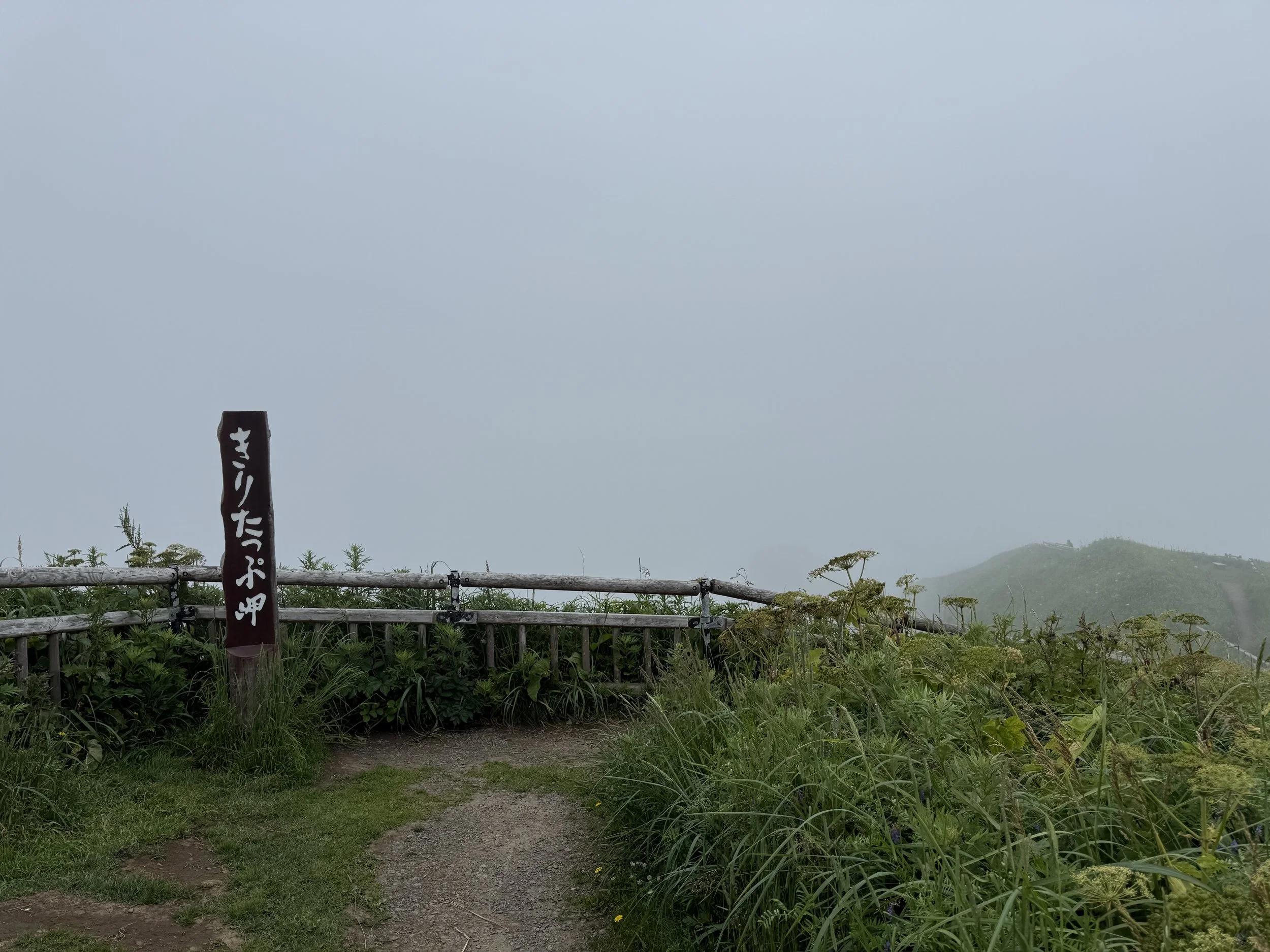 IMG_9371.jpeg