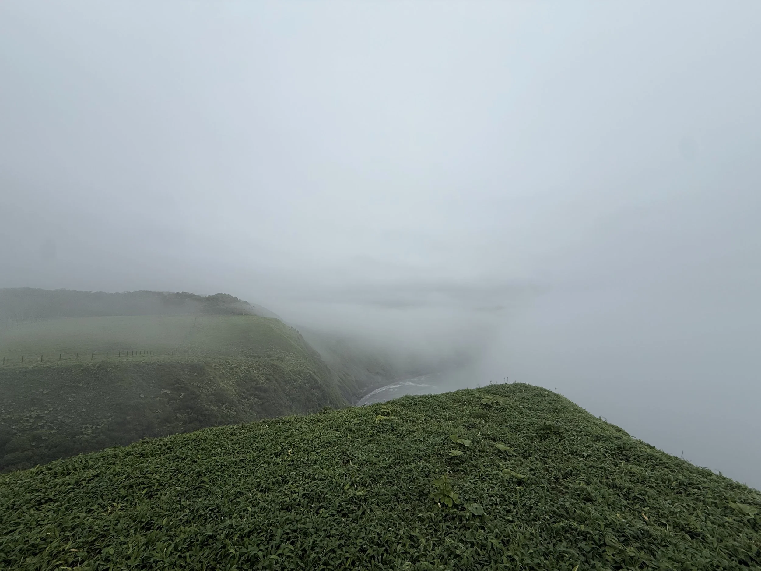 IMG_9366.jpeg