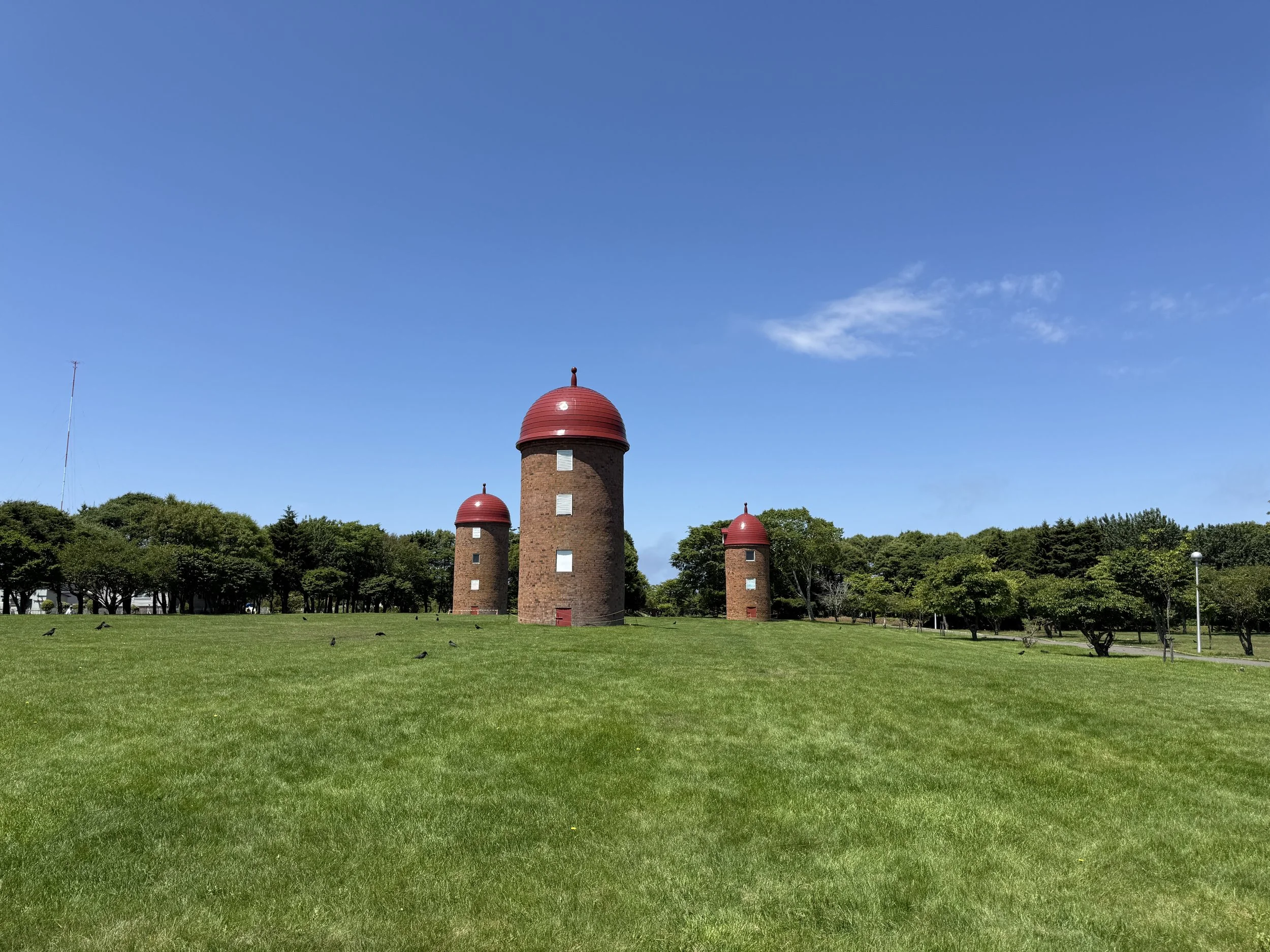 IMG_9431.jpeg