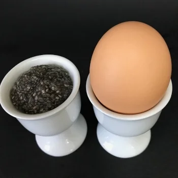 chia-egg-substitute