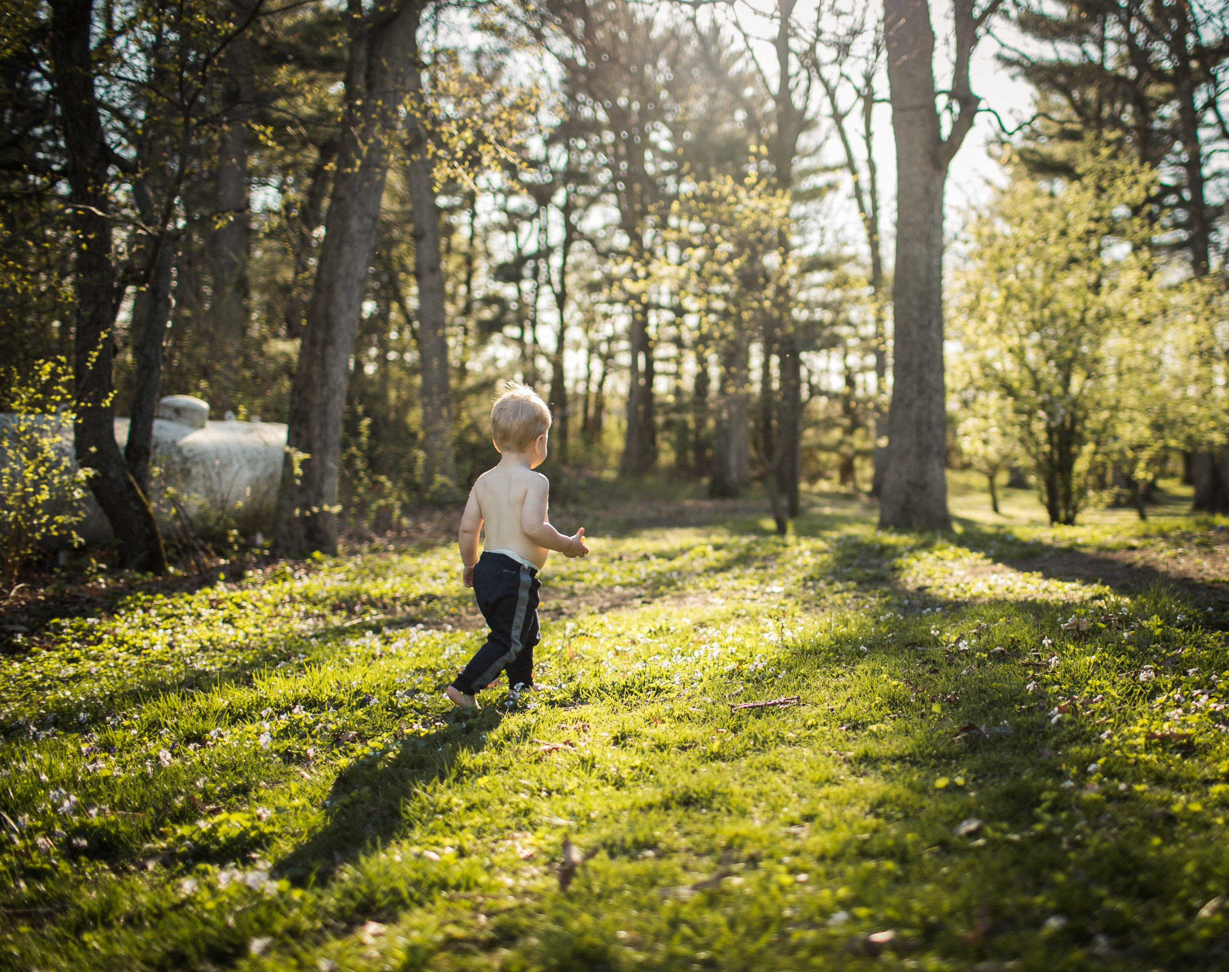 Exploring, Connected, Powerful, Lifestyle Family Sunset Session, Farm, Indiana, Laura Duggleby Photography-1.JPG