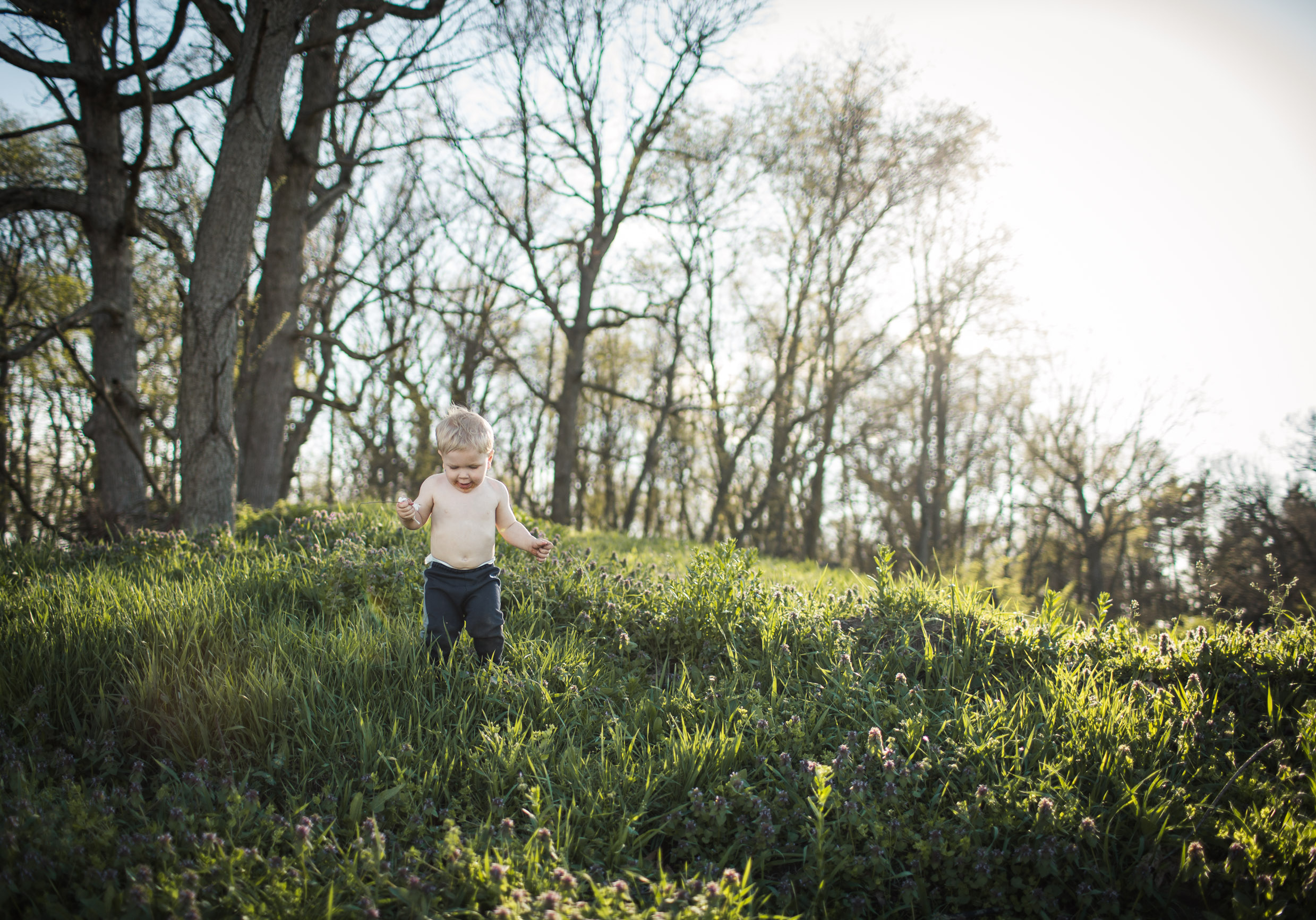 Exploring, Connected, Powerful, Lifestyle Family Sunset Session, Farm, Indiana, Laura Duggleby Photography-3.JPG