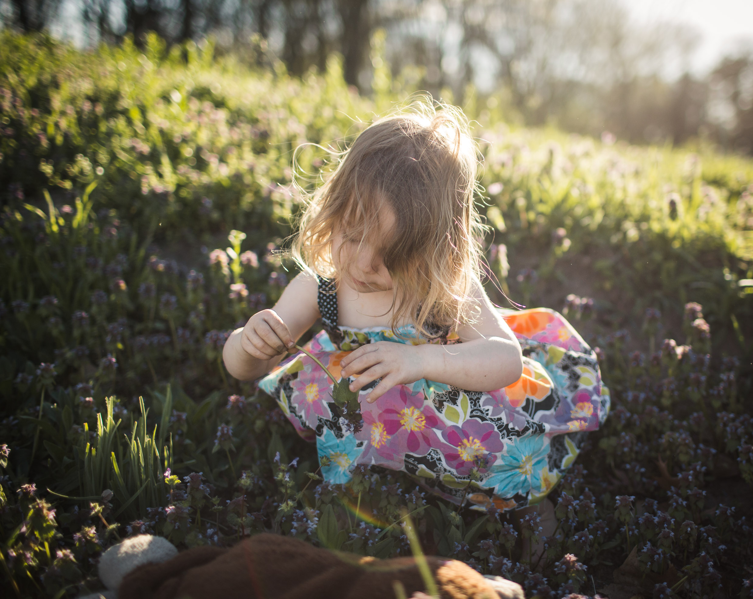 Exploring, Connected, Powerful, Lifestyle Family Sunset Session, Farm, Indiana, Laura Duggleby Photography-9.JPG