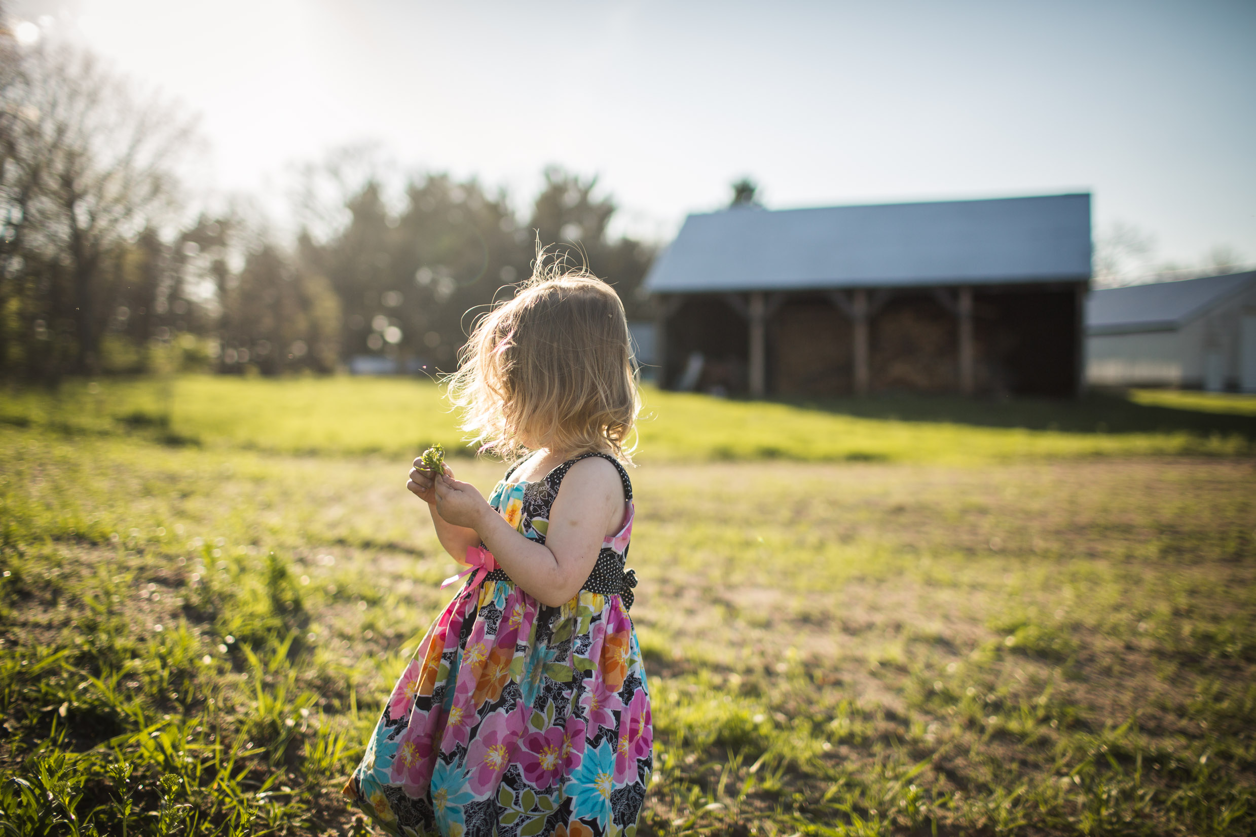 Exploring, Connected, Powerful, Lifestyle Family Sunset Session, Farm, Indiana, Laura Duggleby Photography-20.JPG