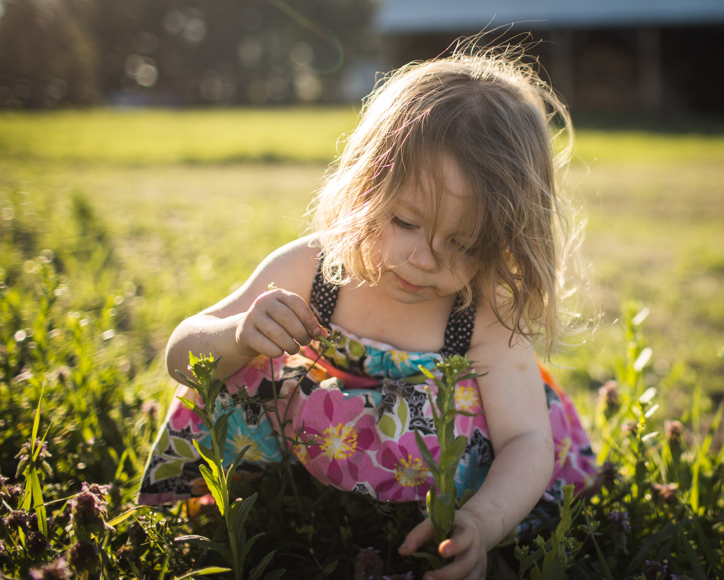 Exploring, Connected, Powerful, Lifestyle Family Sunset Session, Farm, Indiana, Laura Duggleby Photography-23.JPG