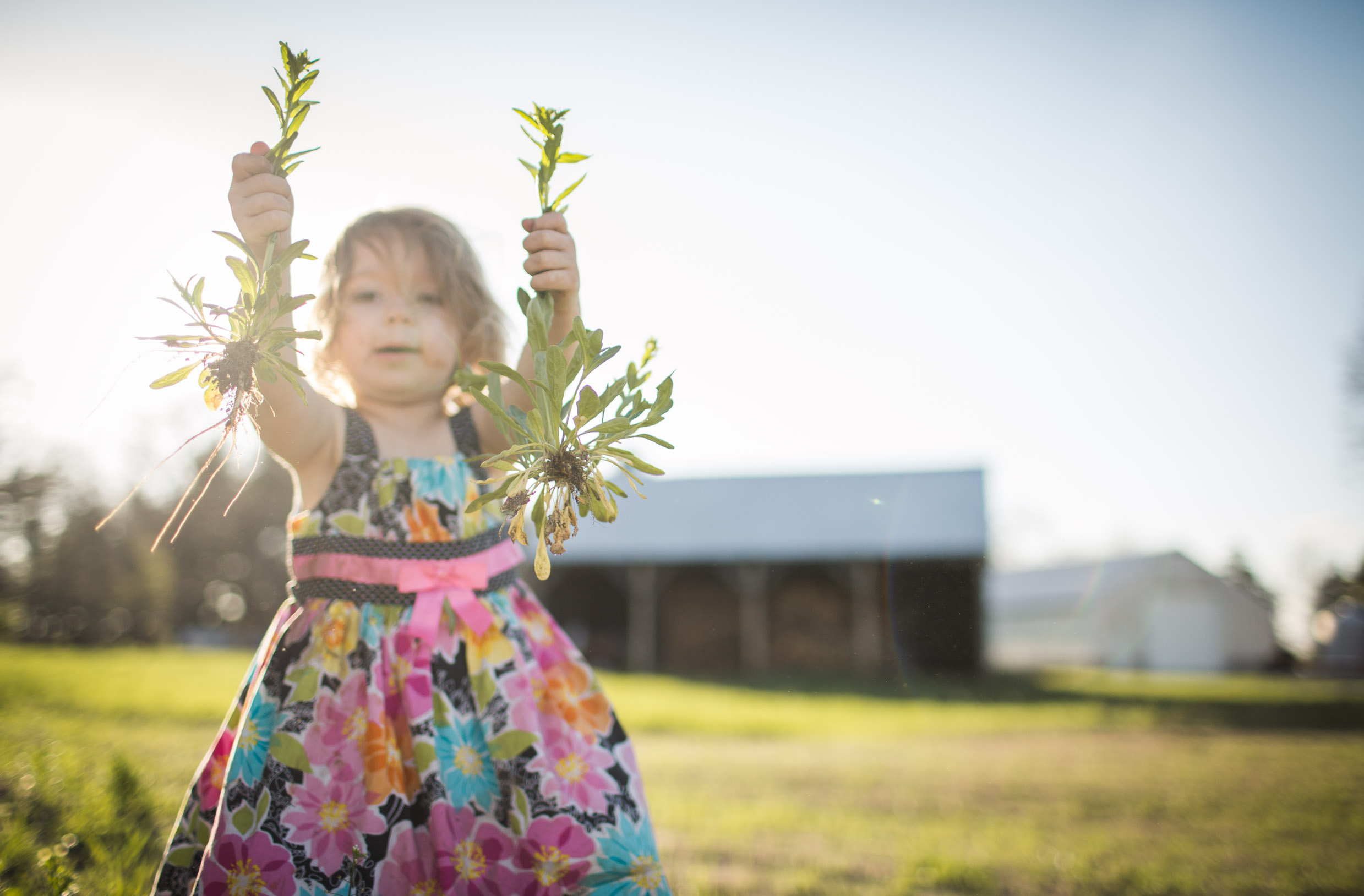 Exploring, Connected, Powerful, Lifestyle Family Sunset Session, Farm, Indiana, Laura Duggleby Photography-24.JPG