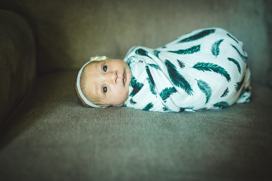 portrait of newborn lying on couch in window light