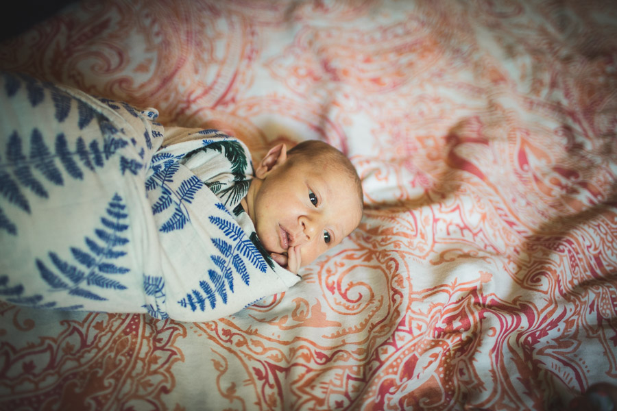 newborn child pondering out soft window light 