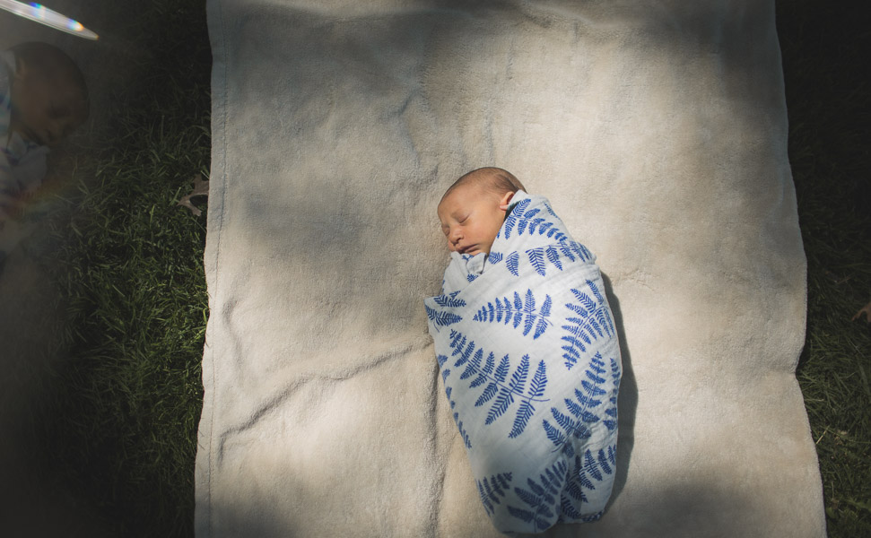 overhead portrait of newborn child in dappled morning light on blanket 