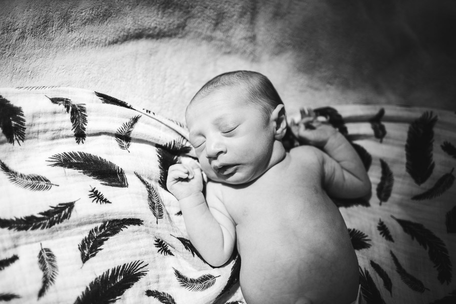 overhead portrait of newborn child on leaf blanket in dappled light; black and white 