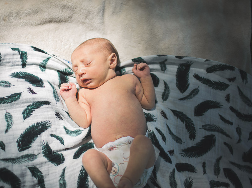 portrait, newborn in dappled light 