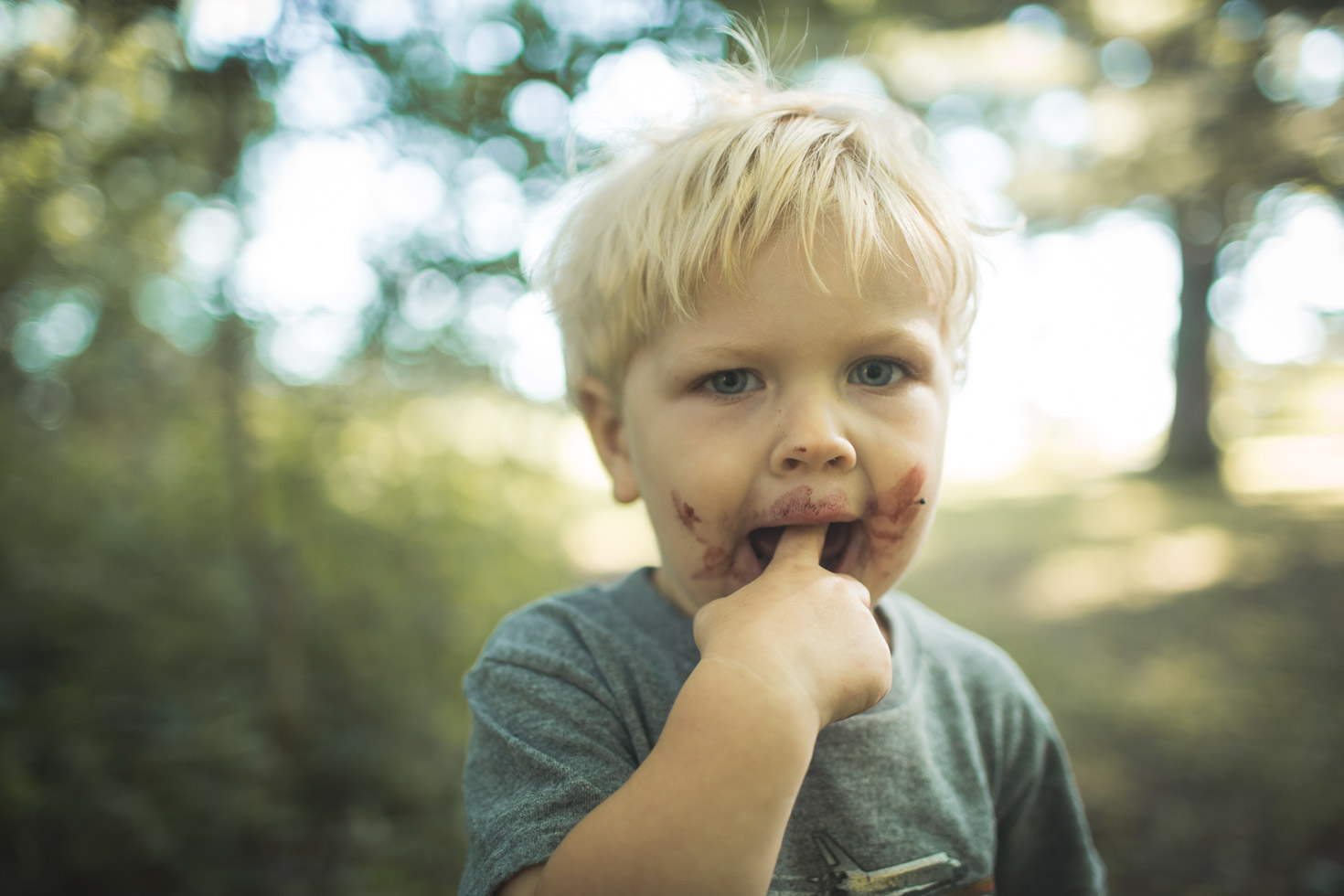 Toddler boy sucking blackberry juice fingers in morning backlight 