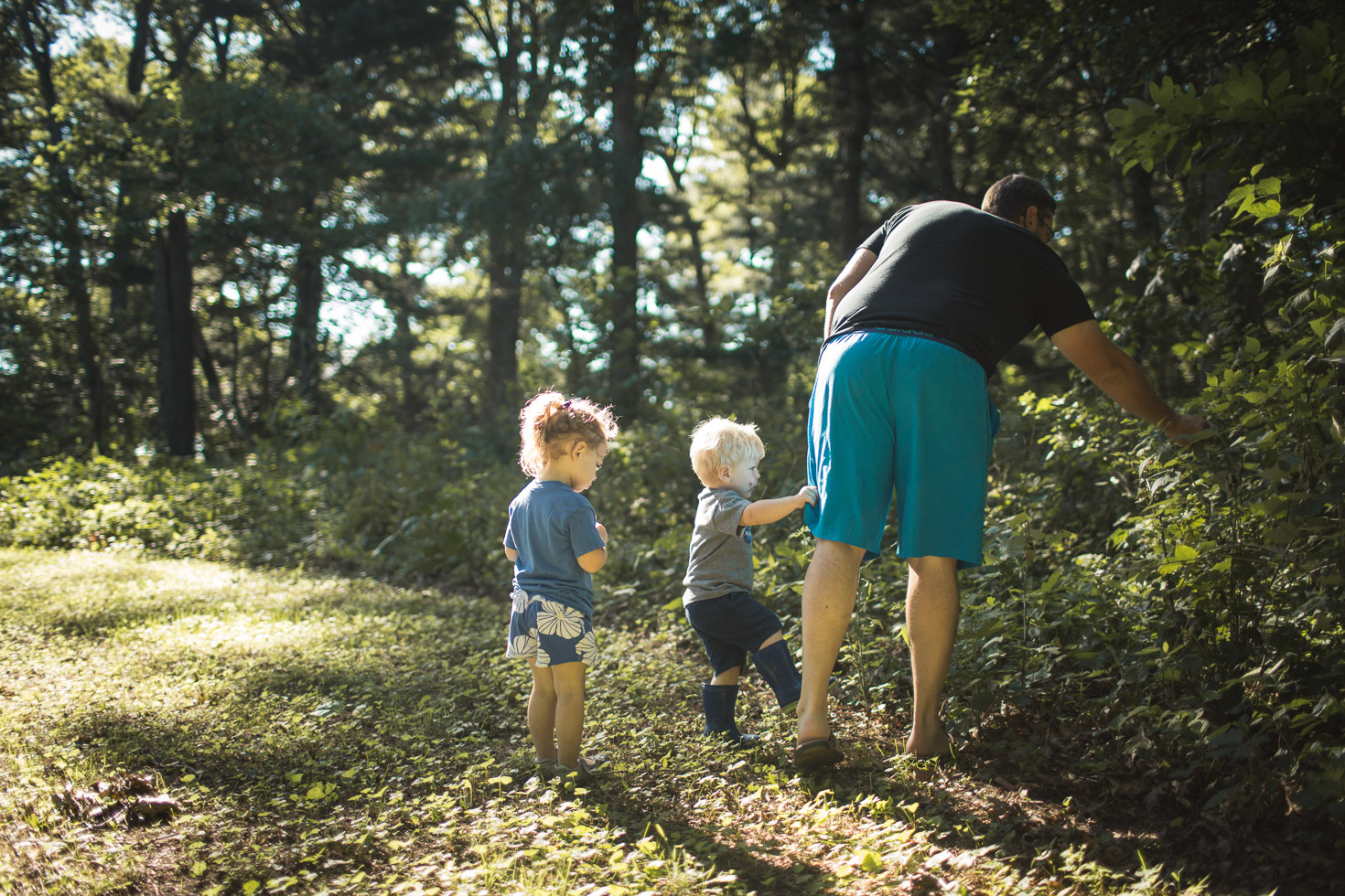 Family collecting blackberries in the morning light 