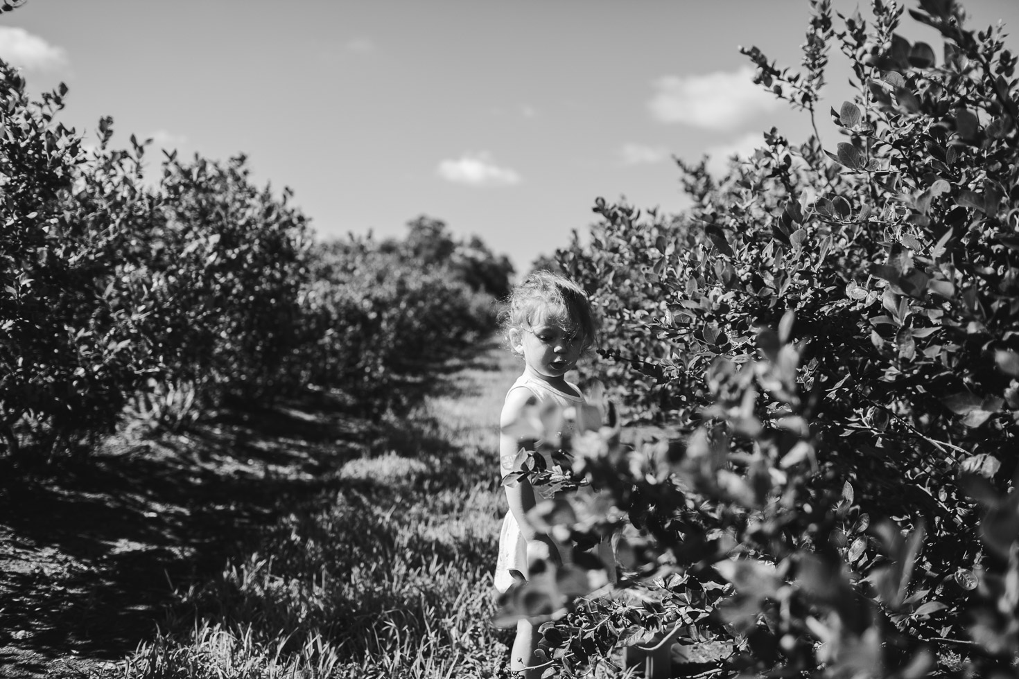 connected, fierce, powerful image of girl on blueberry farm 