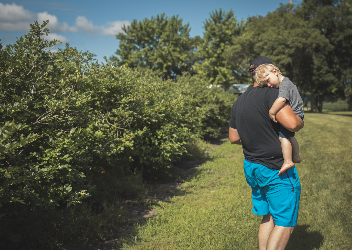boy cuddled upon fathers shoulder at blueberry field, connected, powerful, compassionate