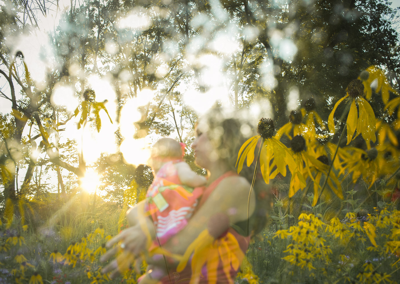Multiple Exposure image of mother cradling daughter within daisy field and golden sunlight 