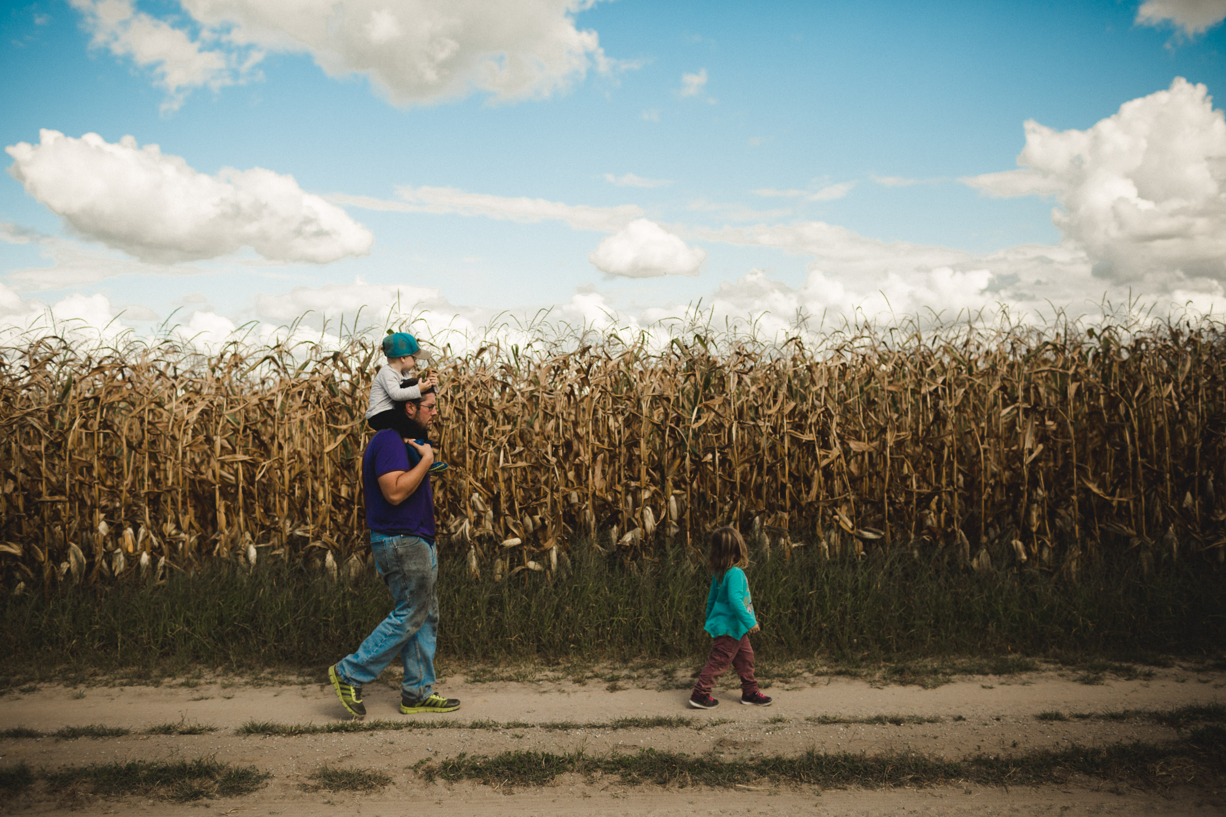 Family walking together along corn rows, with boy on dad's shoulders 