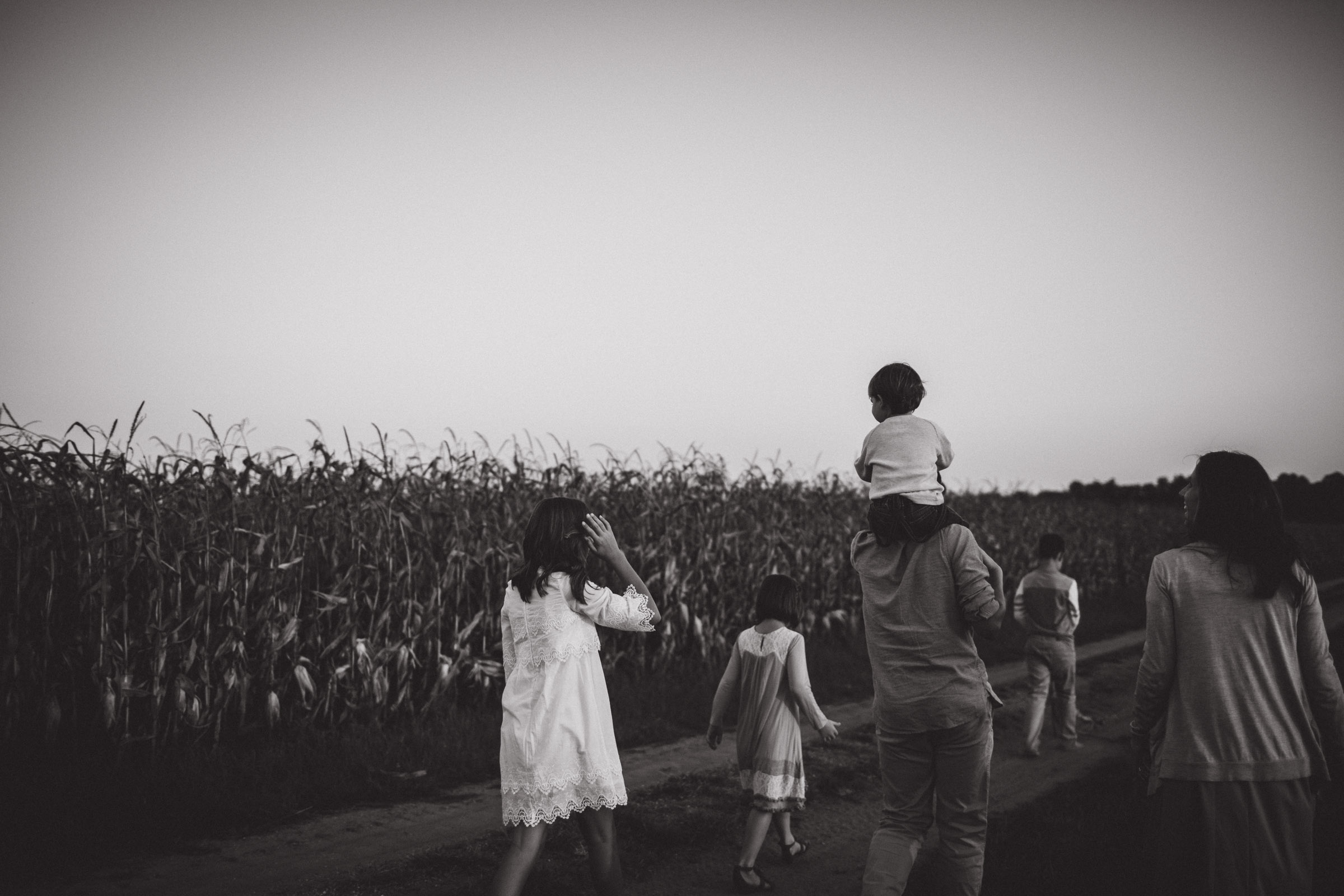 family walking together along cornfields 