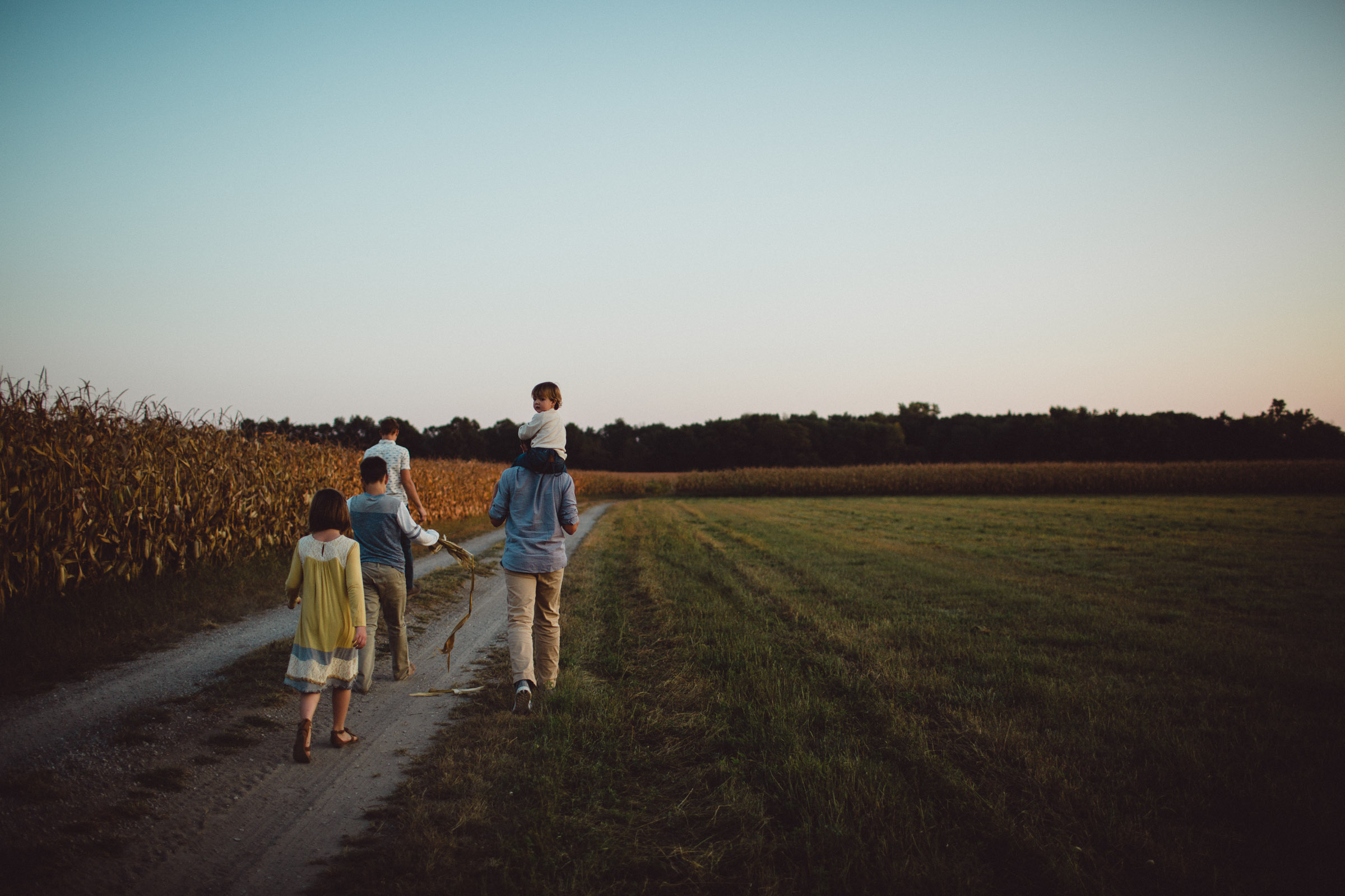 siblings walking together through cornfields 