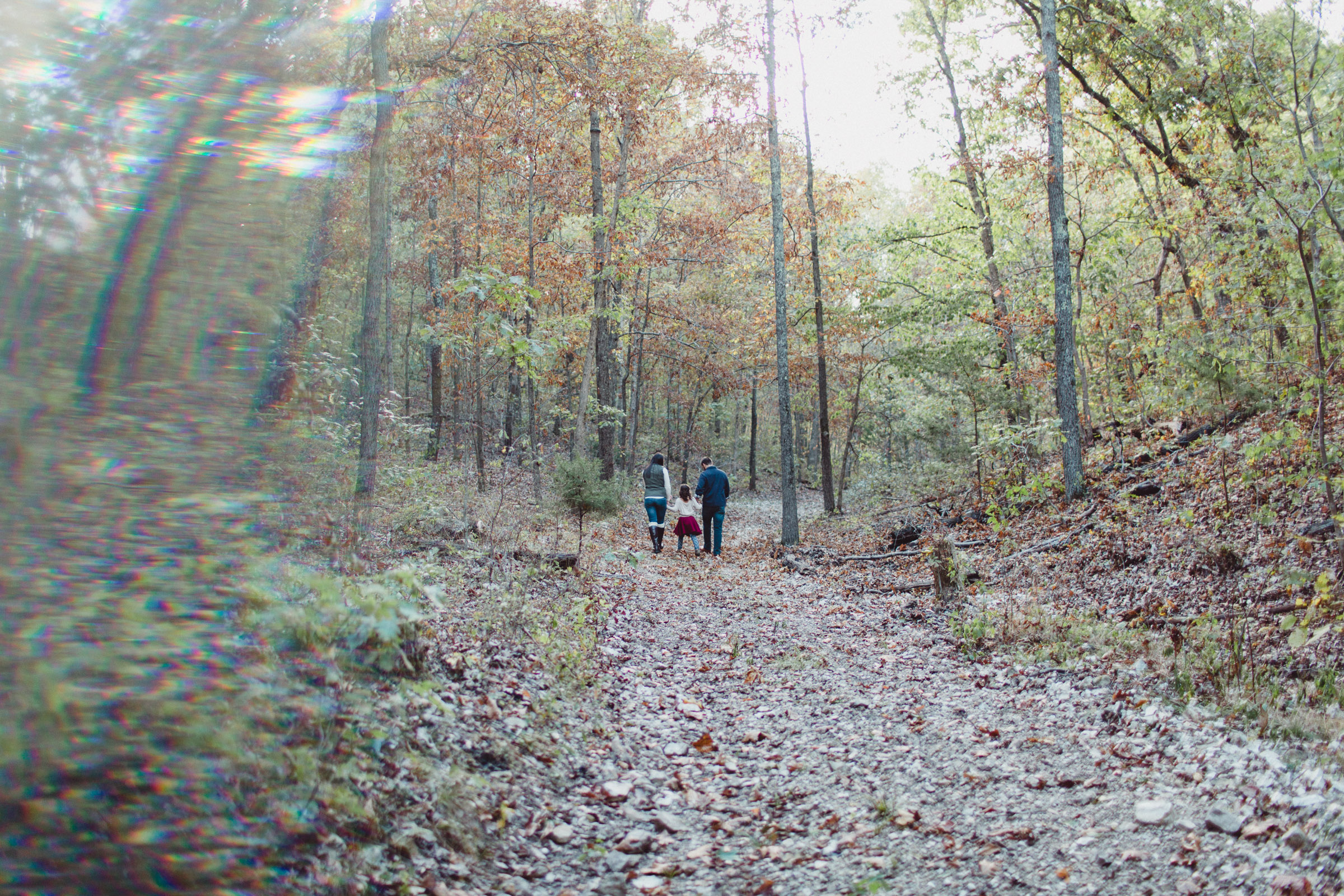 family walking in the woods 