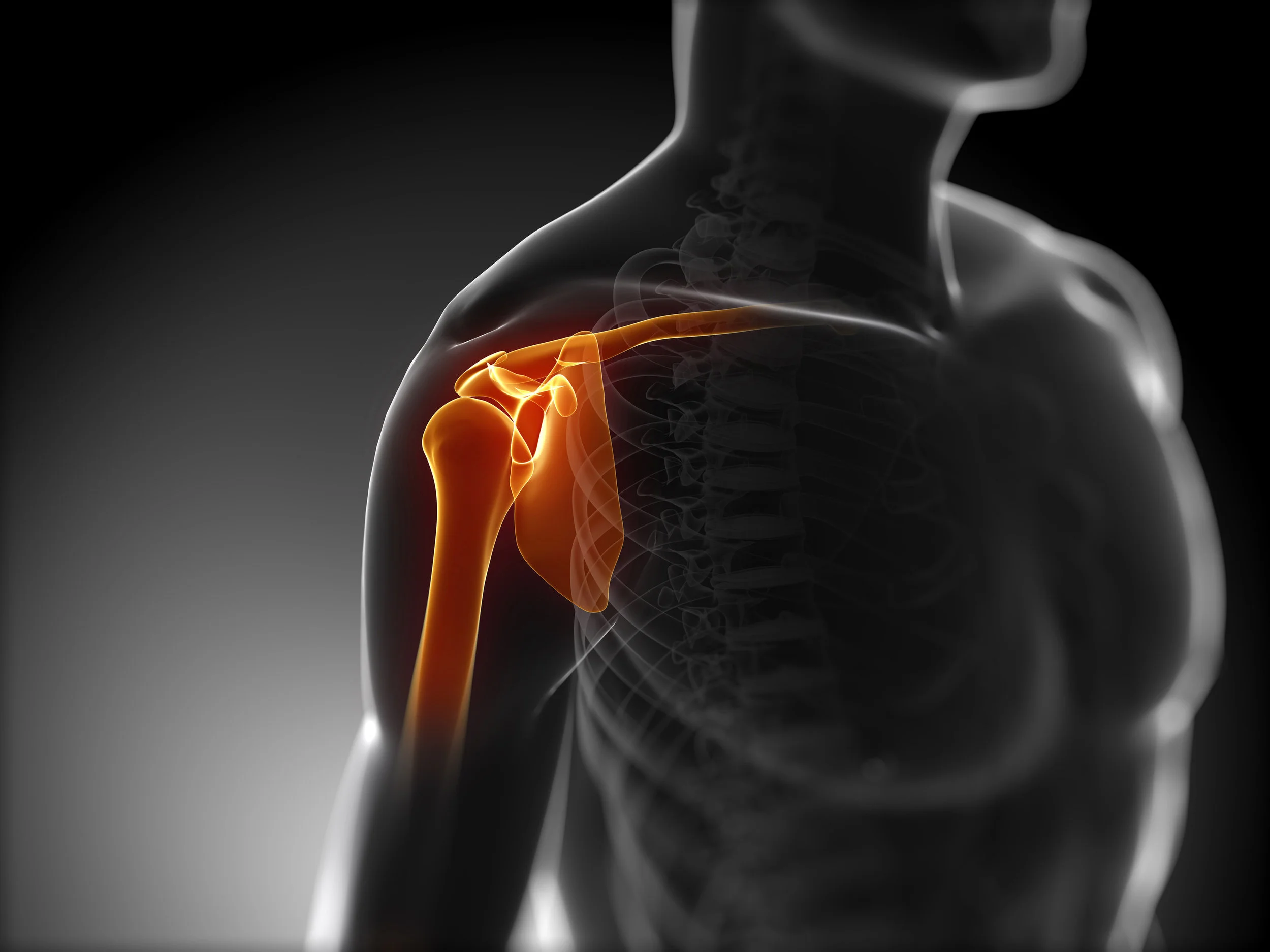 Shoulder Mobility
