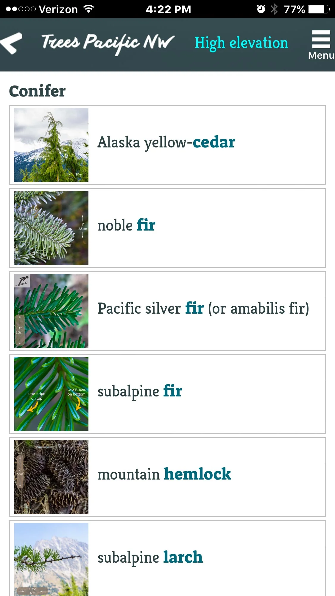 Nw Tree Reference How? — Trees Pacific Northwest