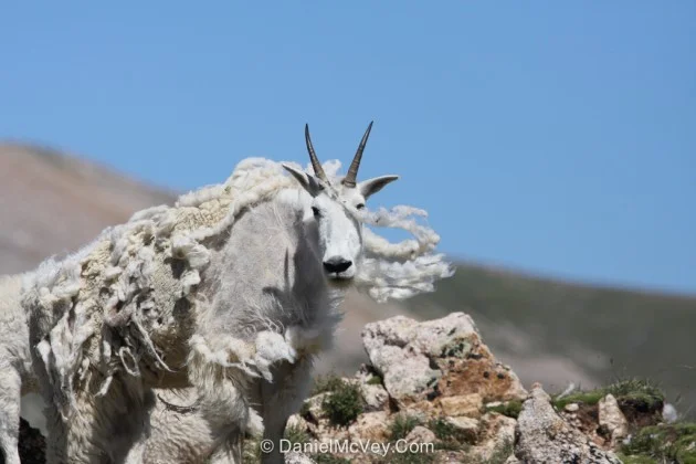 [HOW TO] share multiple url's using only one link