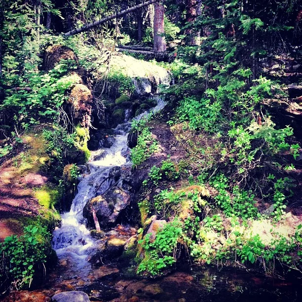 I love #breckbecause there's this ride with a waterfall I can use to dunk my head and cool off. // #spoiled #mountainbiking