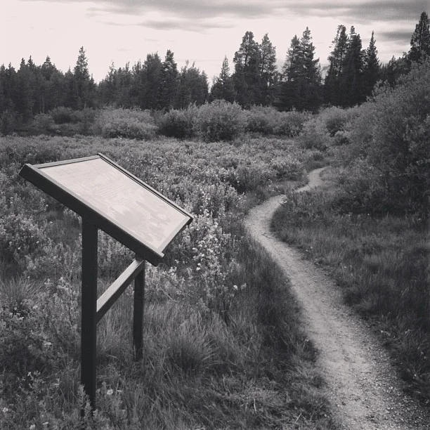 Fun hike / bike that's close to town. #breckenridge #breckbecause #breck