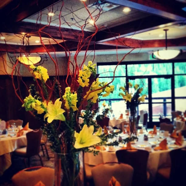 Tall curly willow branches are hard to photograph!