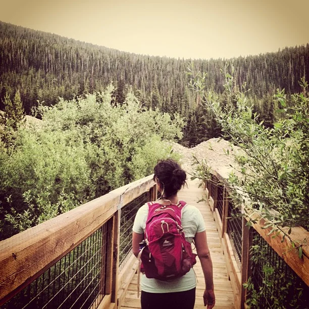 Look down and you'll see flowers by the creek.