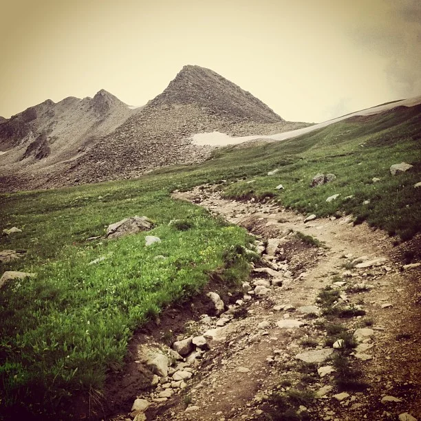 Flowers no peaking until another week or so. // #colorado #wildflowers #hiking