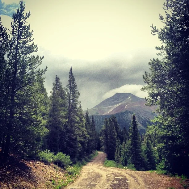 Weekend weddings = Monday trail meetings!