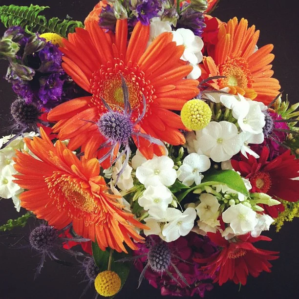 Hailey's bouquet // Phlox, thistle, gerbera daisies, dianthus, delphinium, crespedia geranium, spray roses and fern leaves. #breckweddings #breckwedding