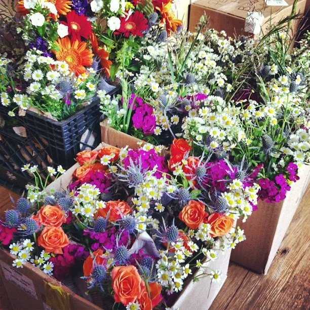 Flowers ready for pick up! These blooms are headed to the Black Mountain Lodge at Arapahoe Basin. // #sumco #wedding #venue