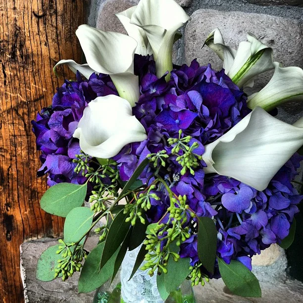 Jenni's Bouquet // Hydrangea, Eucalyptus and Calla Lilies.