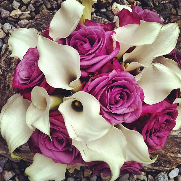 Brie's Bouquet // Flowers for a mountain wedding near the Continental Divide.