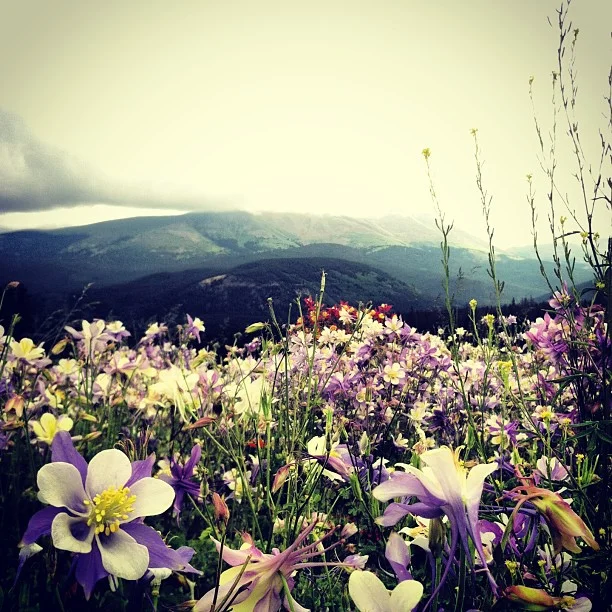 I see many couples take photos here before their wedding. You can see why.